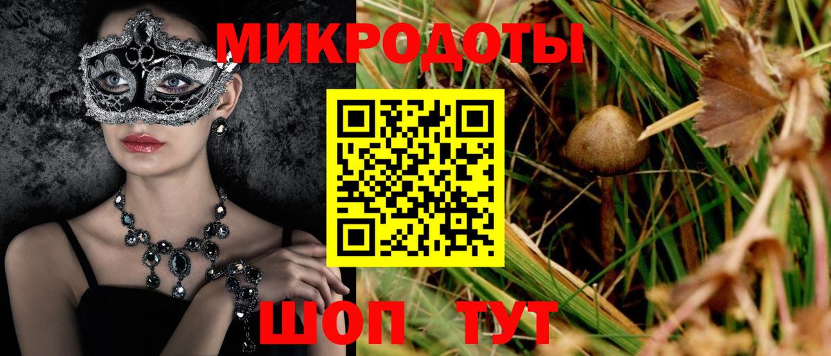 Псилоцибиновые грибы MAGIC MUSHROOMS  Псилоцибиновые грибы Psilocybe  купить наркотик  Вход с VPN  Черногорск 